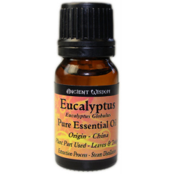 Essential oil Eucalyptus